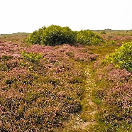 Landgoed Tatenhove Texel