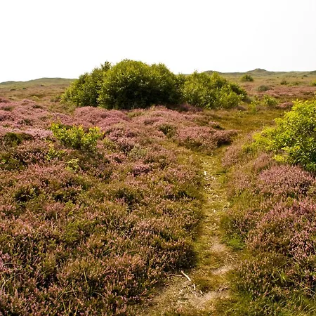 Landgoed Tatenhove Texel De Koog (Texel)